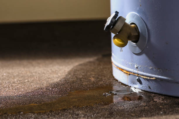 Best Local water damage restoration  in Garden Plain, KS