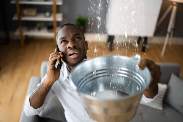 Best Local water damage restoration  in Garden Plain, KS