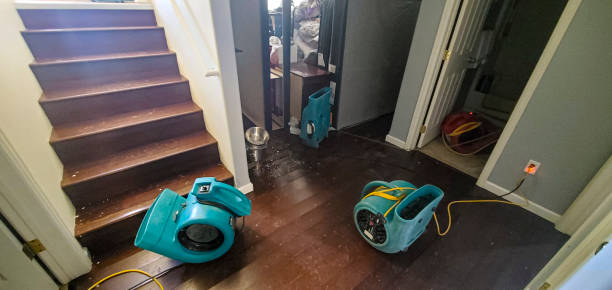 Best Commercial water damage restoration  in Garden Plain, KS