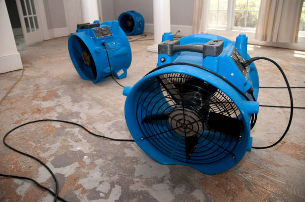 Best Residential water damage restoration  in Garden Plain, KS