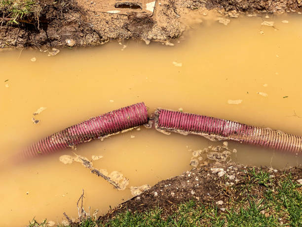 Carpet water damage restoration in Garden Plain, KS